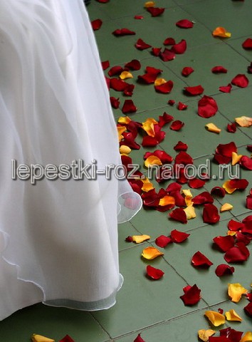лепестки на свадьбу